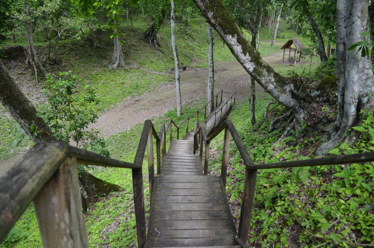 17 años de declaratoria del Parque Nacional Yaxhá, Nakúm – Naranjo