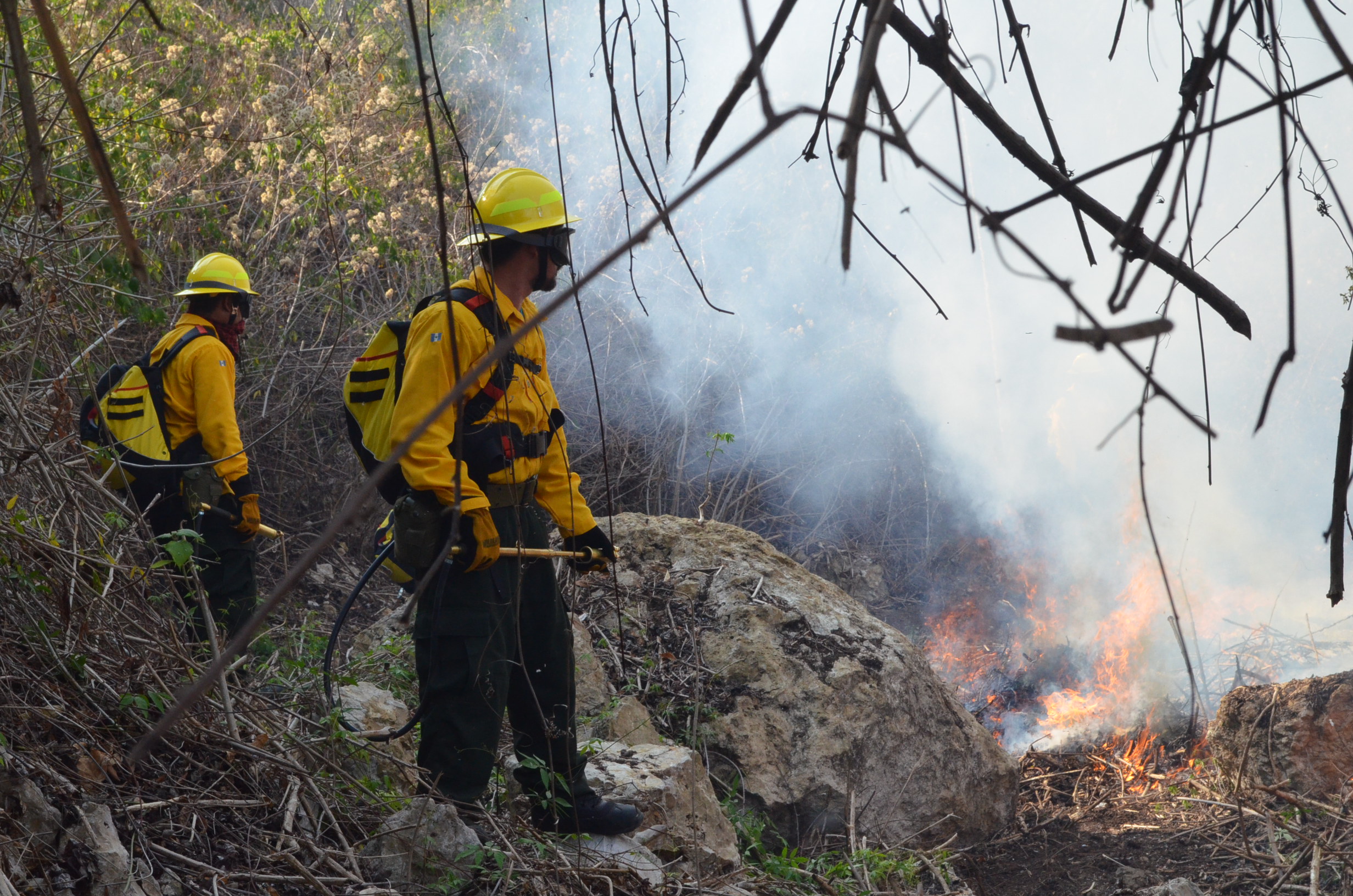 Coordinación para la atención de incendios forestales en áreas protegidas de Petén