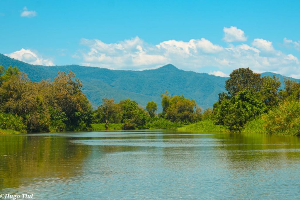 26 Aniversario Del Área Protegida Refugio De Vida Silvestre Bocas Del ...