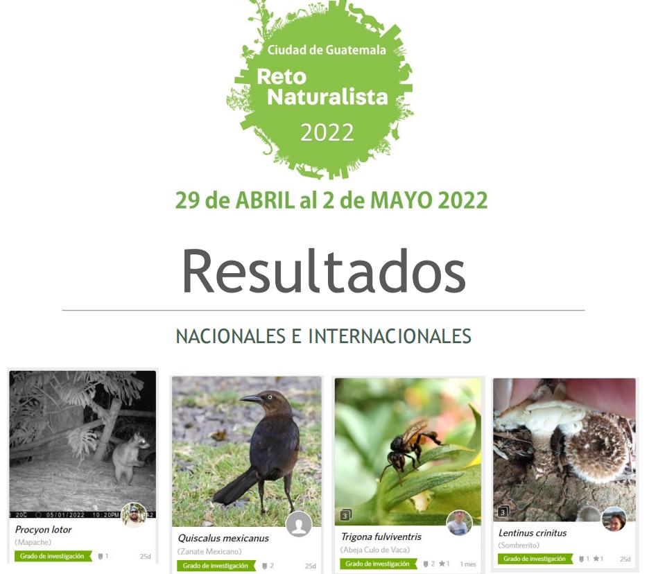 Resultados del reto naturalista realizado del 29 de abril al 02 de mayo  del 2022.￼