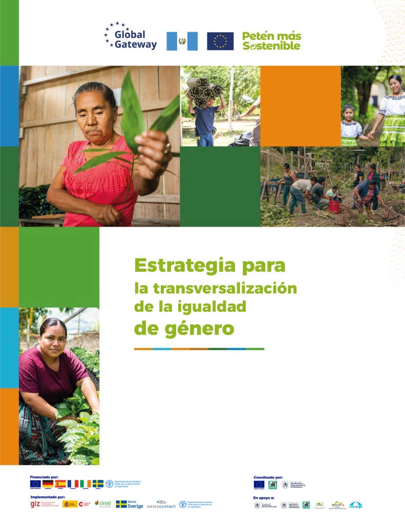 Estrategia para la transversalización de la Igualdad de género